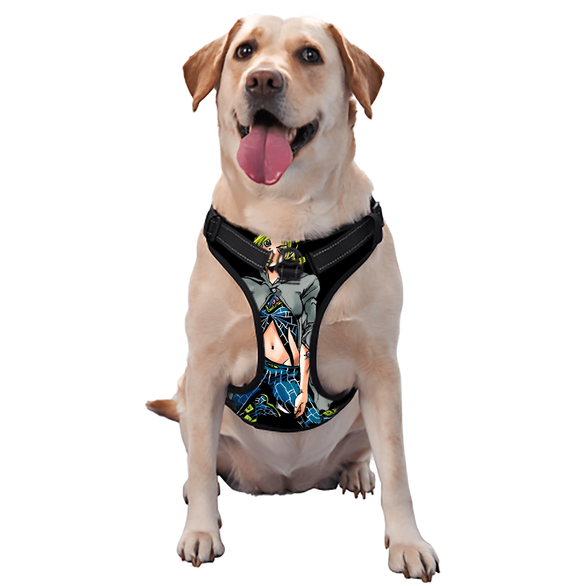 （画像用） "ジョジョの奇妙な冒険 くうじょう ジョリーン JoJo's Bizarre Adventure Jolyne Cujoh " ペット用ハーネス